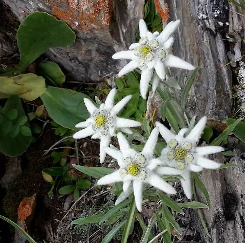 Galehr Eva Und Lothar Lägenhet